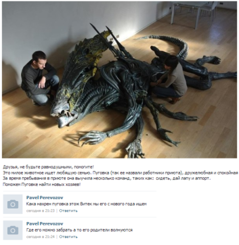 4691556.png
