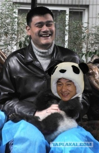 От замены ничего и не изменилось!