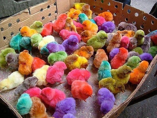 Смешные картинки