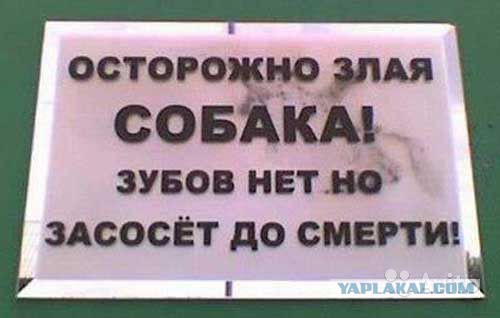 Таблички собачьи