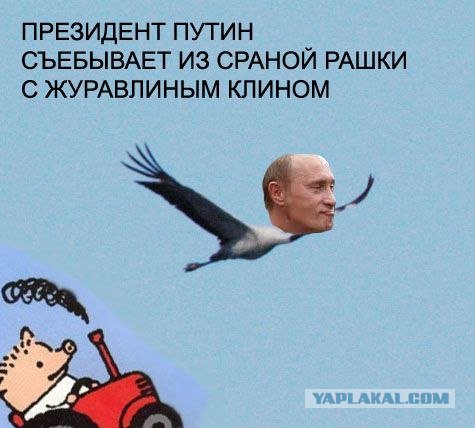 Путин с клювом в халате возглавил журавлиный клин
