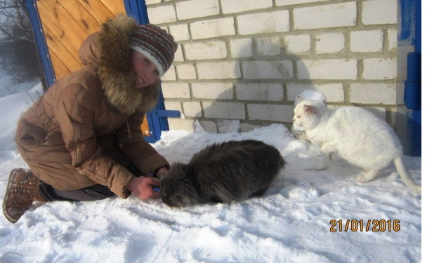 Под Воронежем 10-летняя школьница организовала приют для бездомных животных