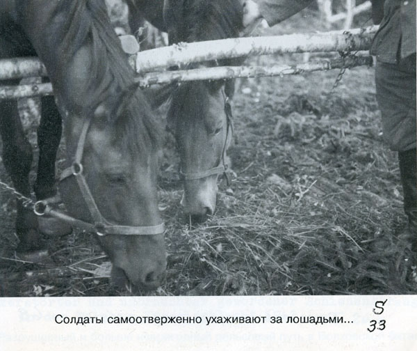 Волховский фронт. 1942. Взгляд с той стороны.