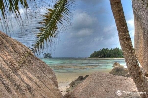 Моменты, запечатлённые на фото и просто позитив 5