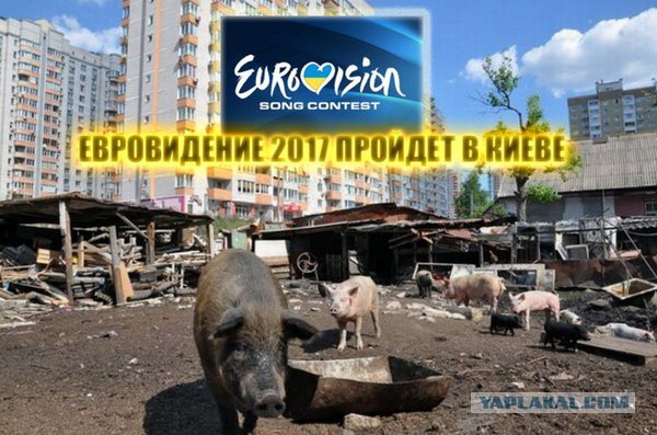 В Киеве отказались идти на уступки по допуску Самойловой на «Евровидение»