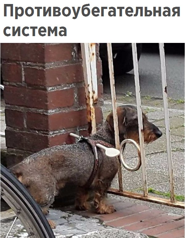 Подборка интересных и веселых картинок