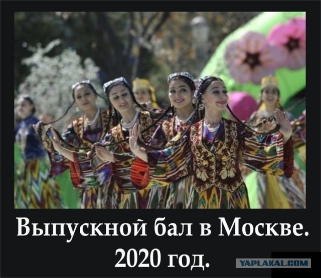 «Ситуация одна из самых тяжелых в мире». Россия будет терять по 800 тысяч трудоспособного населения ежегодно