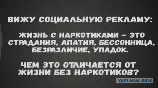 Приколы на любые темы