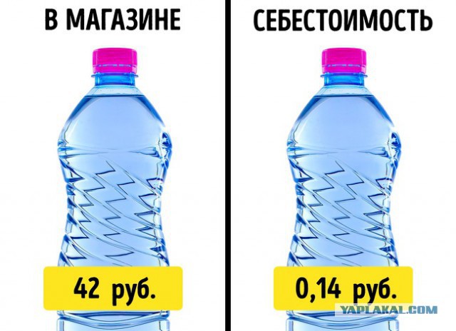 Реальная цена  популярных товаров