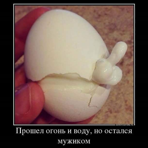 Смешные комментарии из социальных сетей 13.04.2018