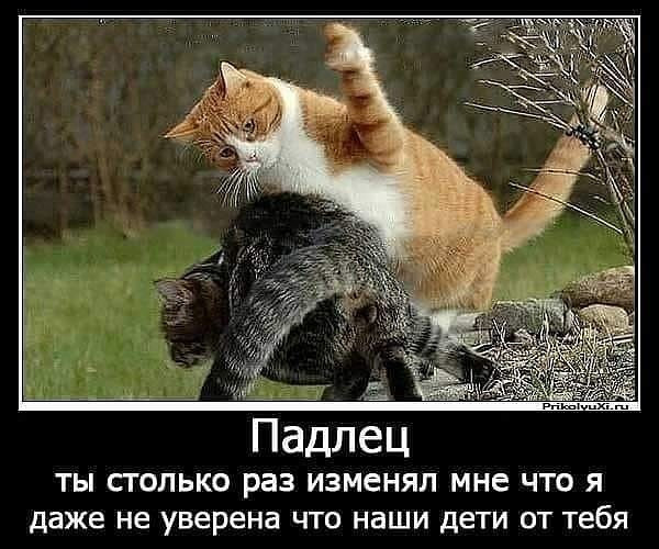 10 мужских наблюдений — женщина до замужества и после
