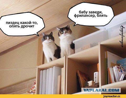 Почему мужчины избегают отношений?