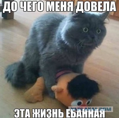 Проверка на отцовство станет обязательной!