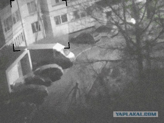 Необъяснимые явления