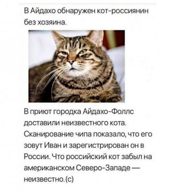 Чуток картинок "Вечерние"-3