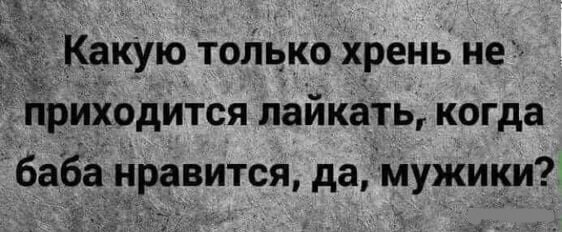 Забавные шутки, картинки и фразы из этих ваших интернетов