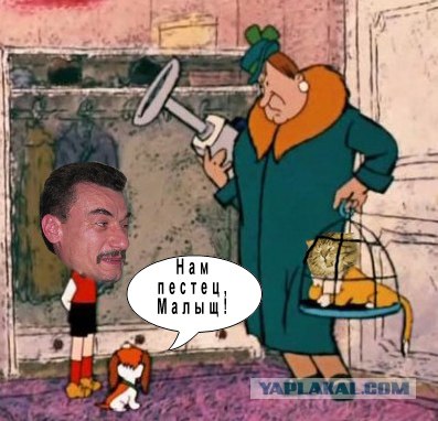 Злой кот