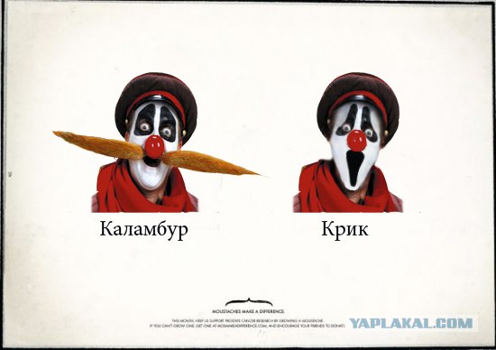 Усы творят чудеса!