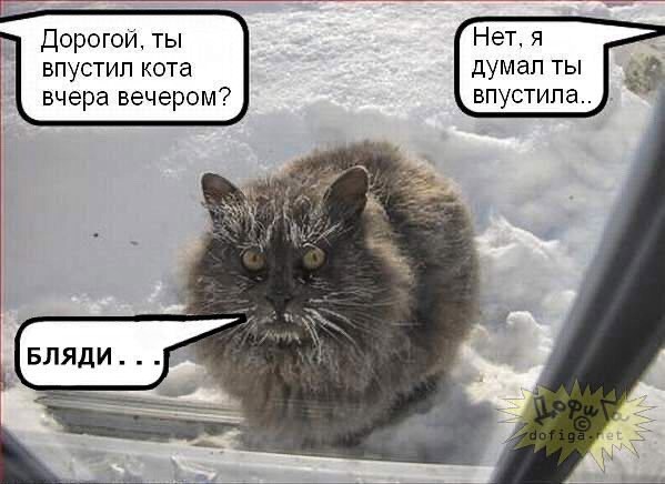 Подборка баянистых картинок