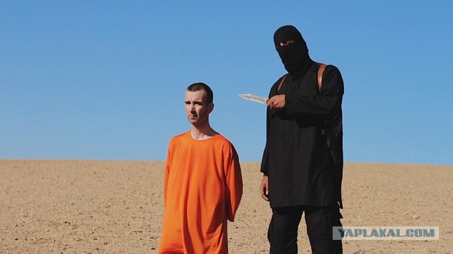 Петербургский депутат в День космонавтики сфотографировался в костюме NASA