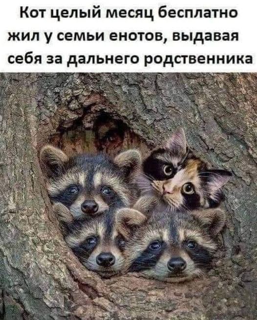 Прикольные и просто красивые картинки 29.06.2021