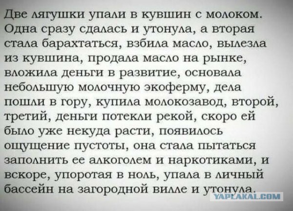 Баянисто-небаянистый юмор 19.07.21