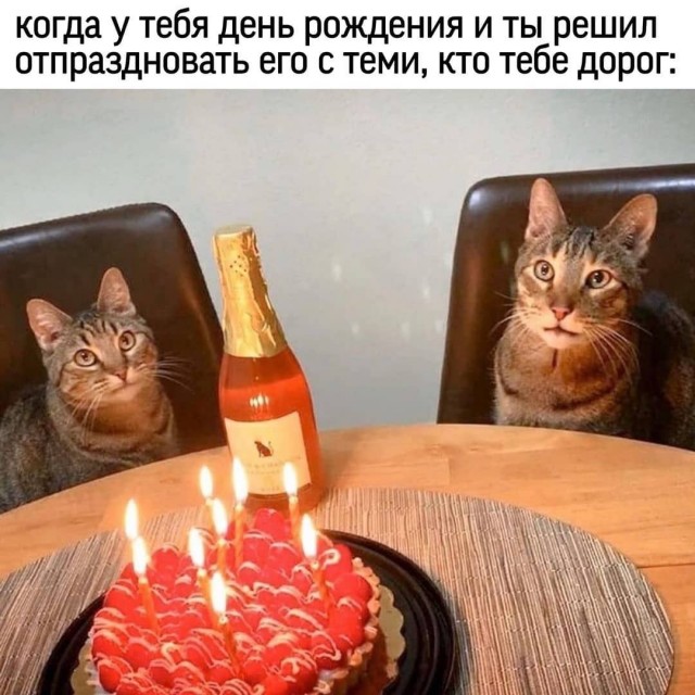 Картинки и мемы для настроения 001