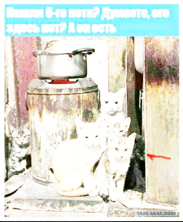 Просто картинки для настроения