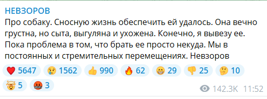 У журналиста Невзорова арестовали участок с особняком