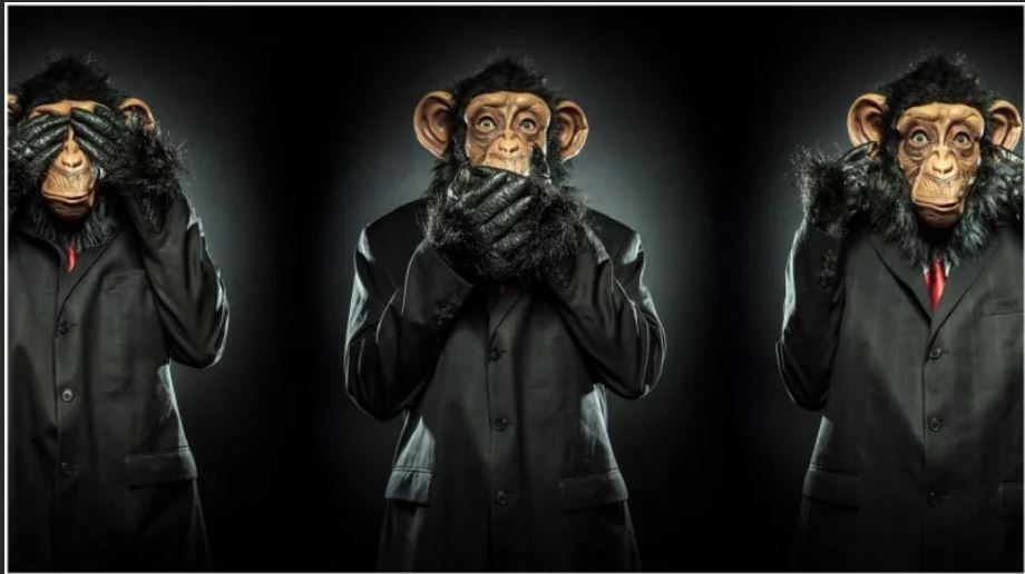 Картина три обезьяны картина в наушниках