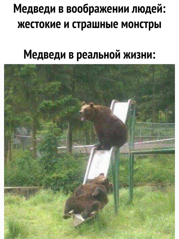 Картинки и мемы для настроения - 119