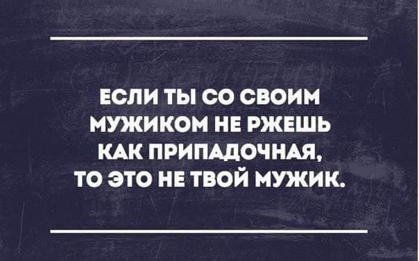 Так себе картинки 15.02.23