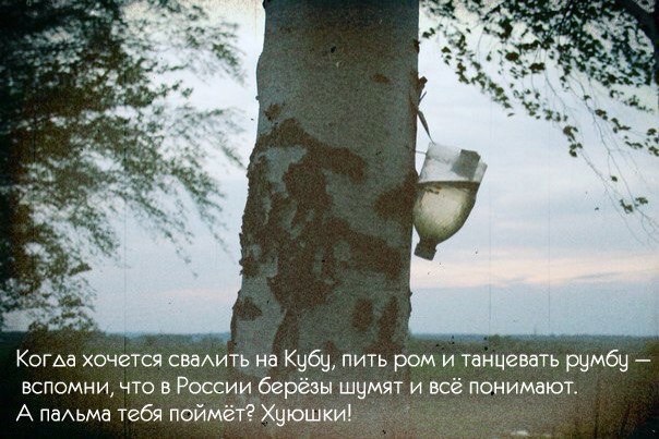 Так себе картинки 26.03.23