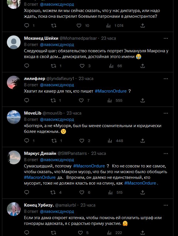 Француженку будут судить за оскорбление Макрона в сети