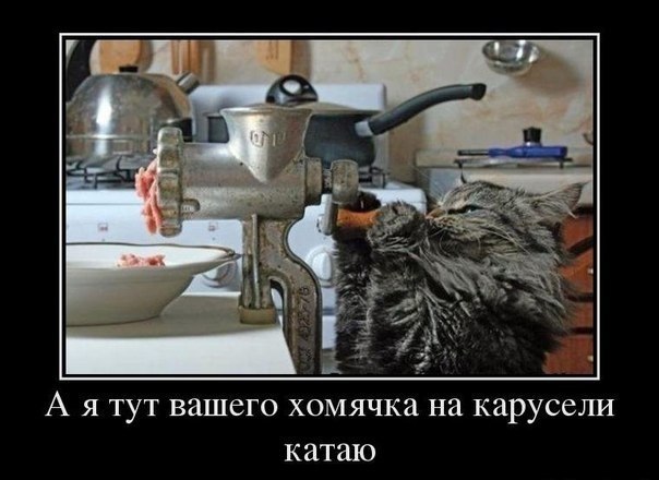 Животные добрые, они помогают друг другу