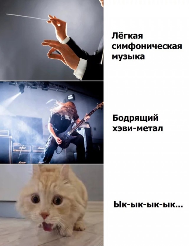 Забавные комментарии из социальных сетей (17.07.23)