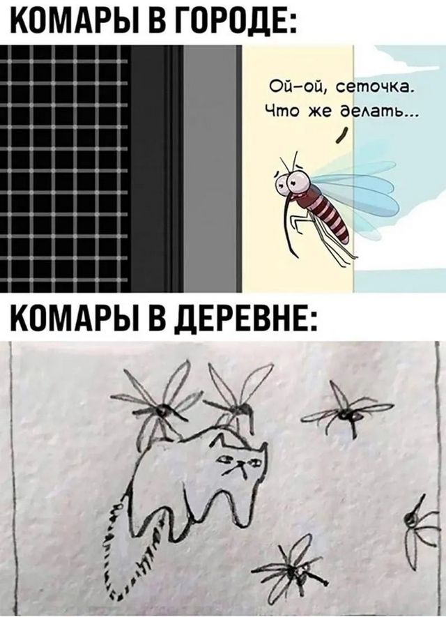 Завалялось тут случайно немного забавных картинок