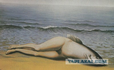 А ведь казалось бы - тоже ведь кентавр!