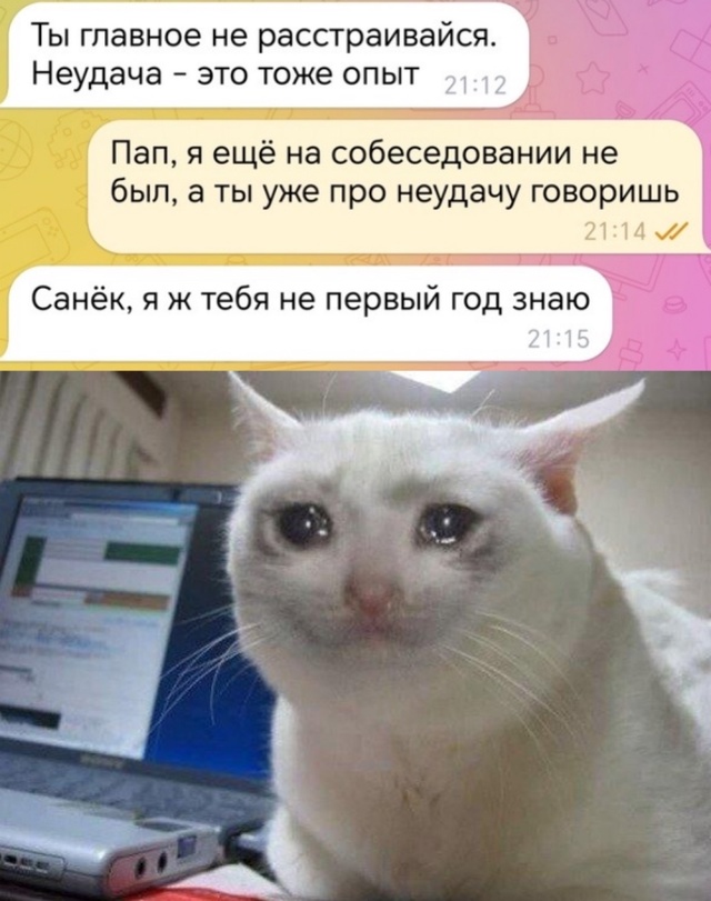 Весёлый полтишок 29.10.24