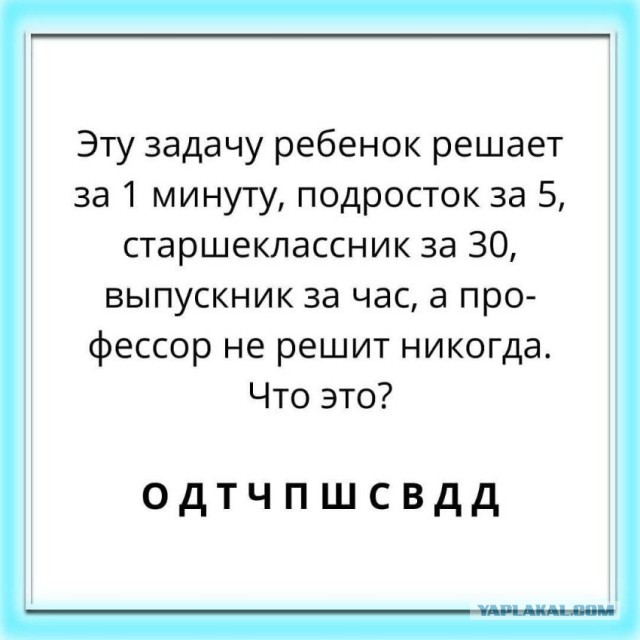 Так себе картинки 25.06.25