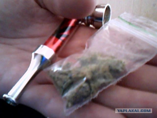 Похмелюга-зверюга))