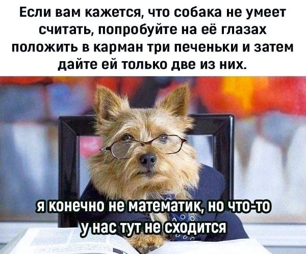 Среды картинки