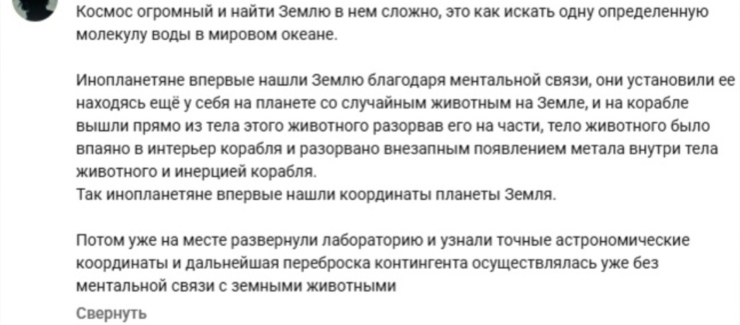 20606656.jpg