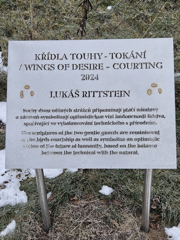 Деревенская Америка - 10