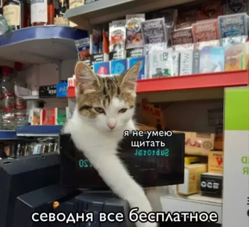 Картиночки, баянчики 06 марта