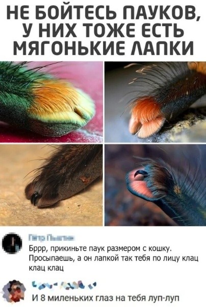Картиночки, баянчики 02 апреля