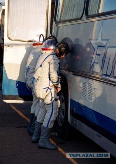 Разновидности современных защитников Отечества