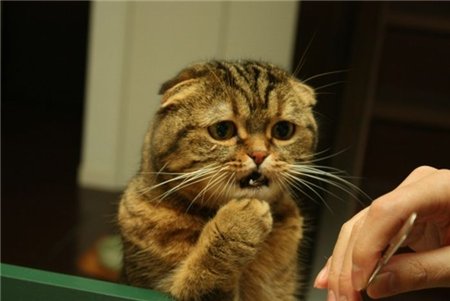 Кажется не заметили