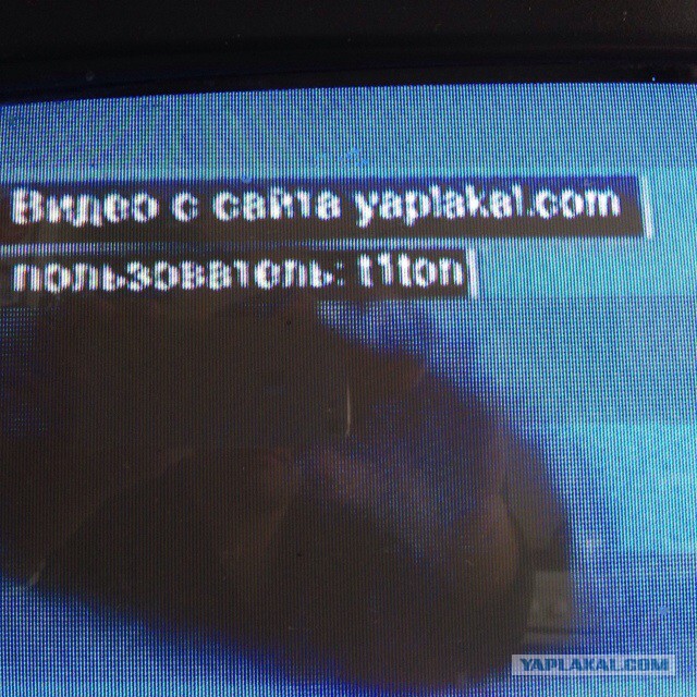 Что делать,когда у тебя трое детей и много бензина