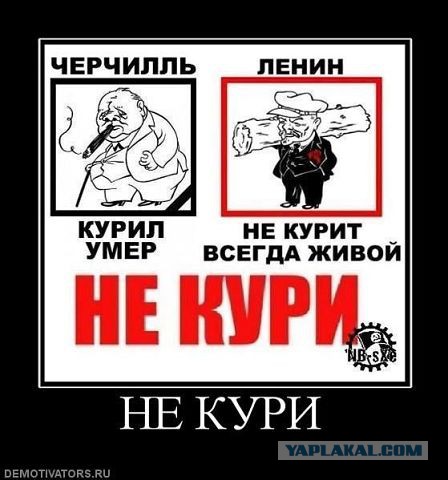 Веселые картинки
